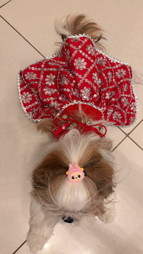 Sparkle Festive Pet Lehengas