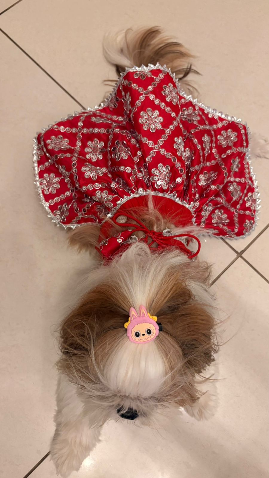 Sparkle Festive Pet Lehengas