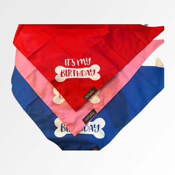 Printed Design with Happy Birthday Bandana - Premium Accessories from The Pet Station 