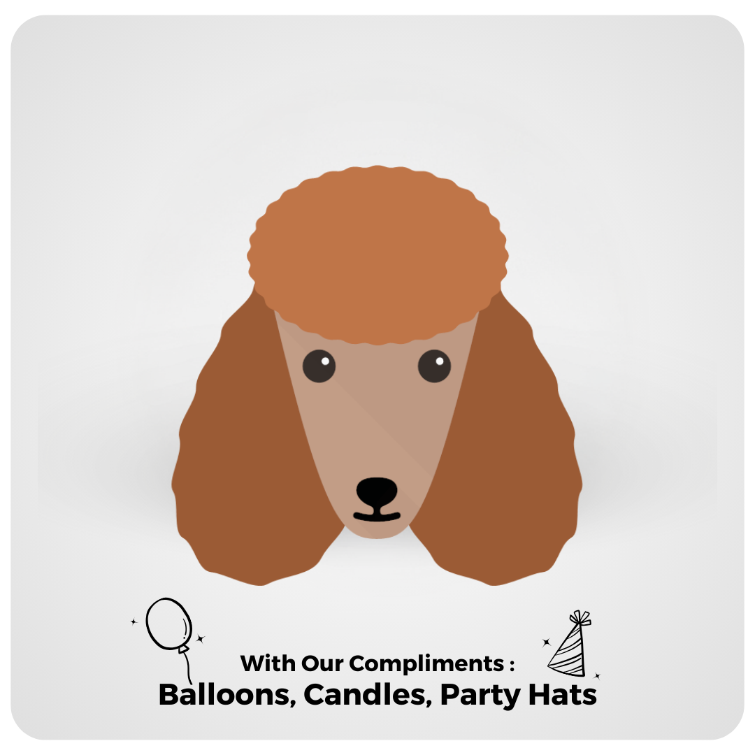 Poodle - Premium Cakes from Doggy Bakery 